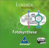 Alles zu Pflanzen (Botanik)