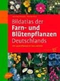 Alles zu Pflanzen (Botanik)
