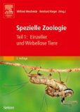 Alles zu Tiere (Zoologie)